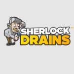 Sherlock Drains Profile Picture