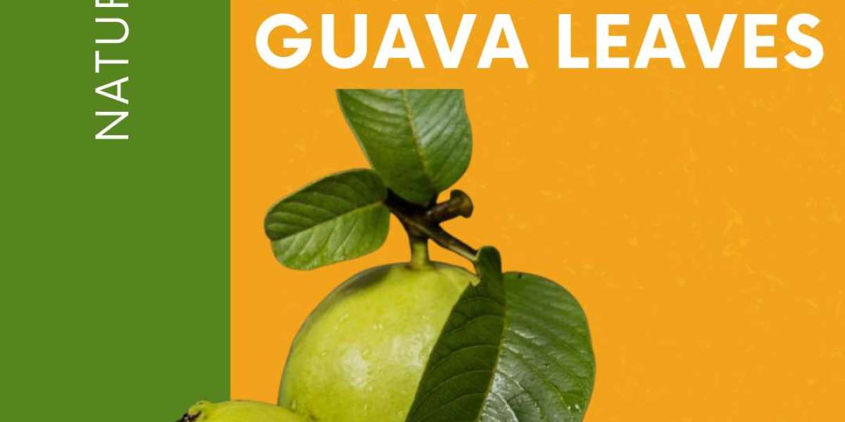 8 Health Benefits Of Guava Leaves That Are Scientifically Proven