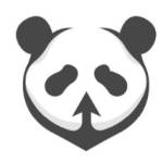 THIRTEEN PANDAS Profile Picture