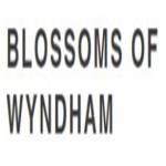 blossomof wyndham profile picture