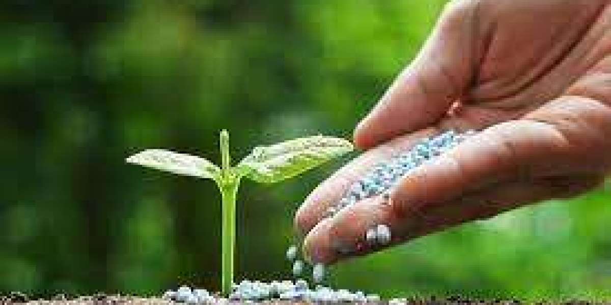 Biofertilizer Manufacturing Plant Report 2024: Business Plan, Raw Material Requirements, Cost and Revenue