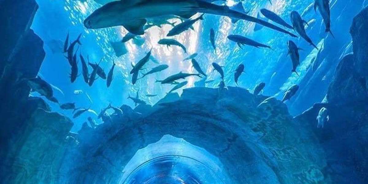 Discover the Dubai Aquarium & Underwater Zoo: A World of Marine Life