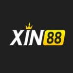 xin88rred Profile Picture