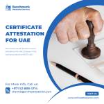 Benchmark Attestation Services Profile Picture