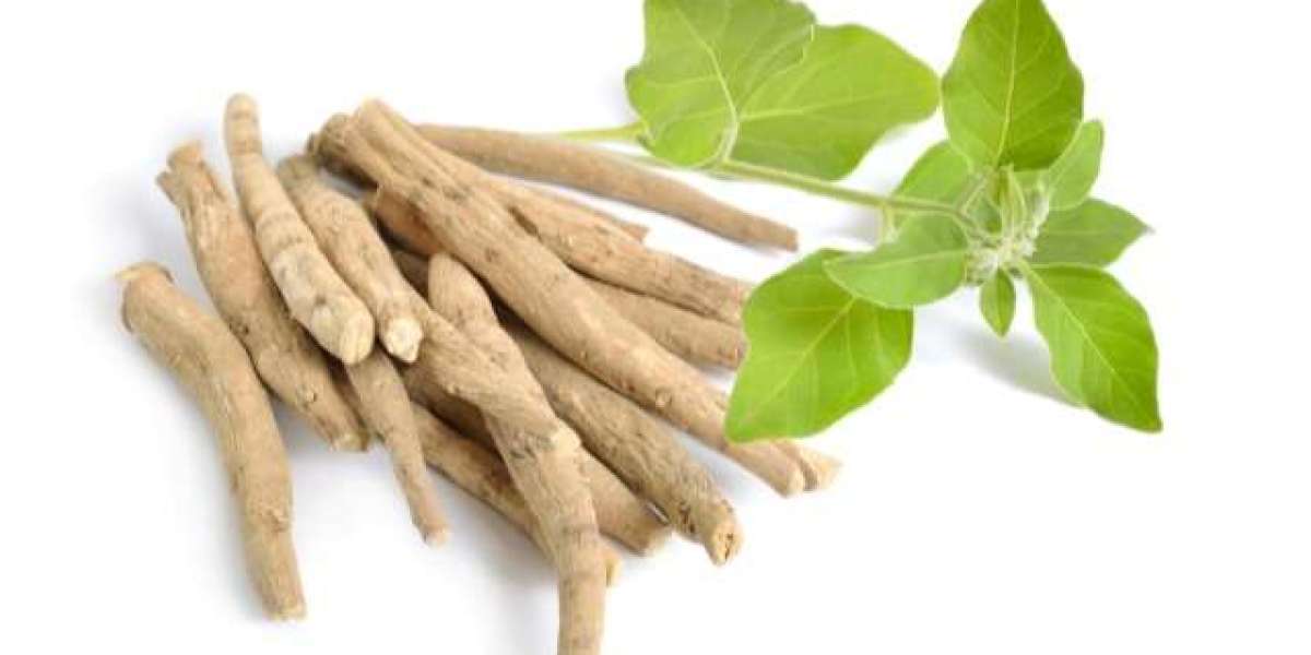 Ashwagandha Powder Manufacturing Plant Setup Report 2024: Business Plan, Cost and Raw Material Requirements