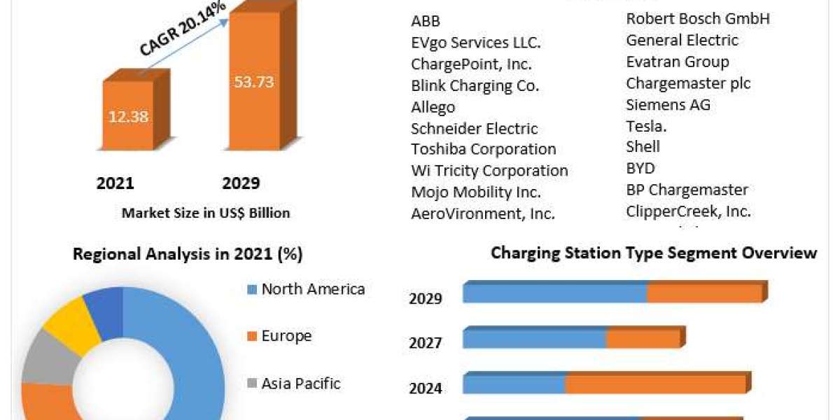 Electric Vehicle (EV) Charging Service Market: Government Support and Subsidies Powering Market Growth