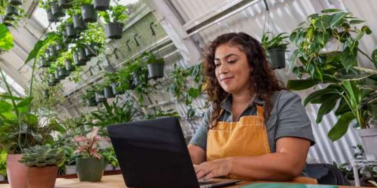 QuickBooks 2025: Empowering Small Businesses with Smarter Financial Management