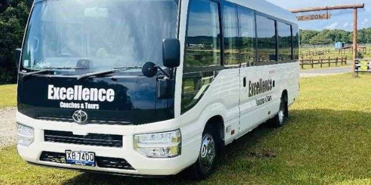 Comprehensive Guide to Cairns to Port Douglas Bus Services