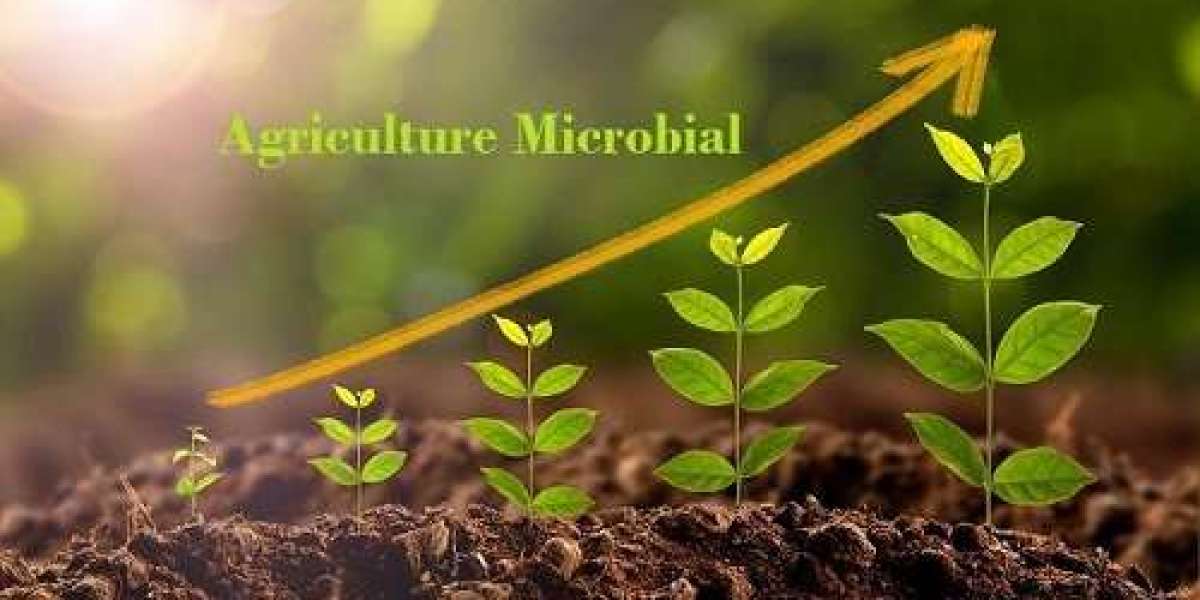 Agriculture Microbial Market Report: Latest Industry Outlook & Current Trends 2023 to 2032