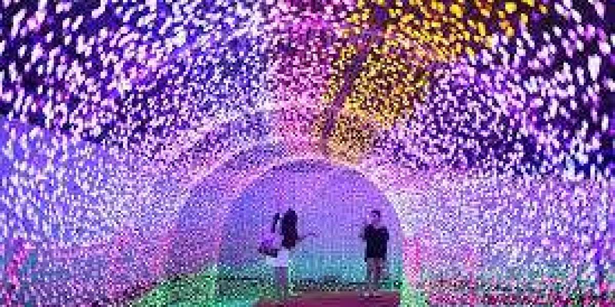 China LED Lighting Market Size And Forecast Report By Renub Research