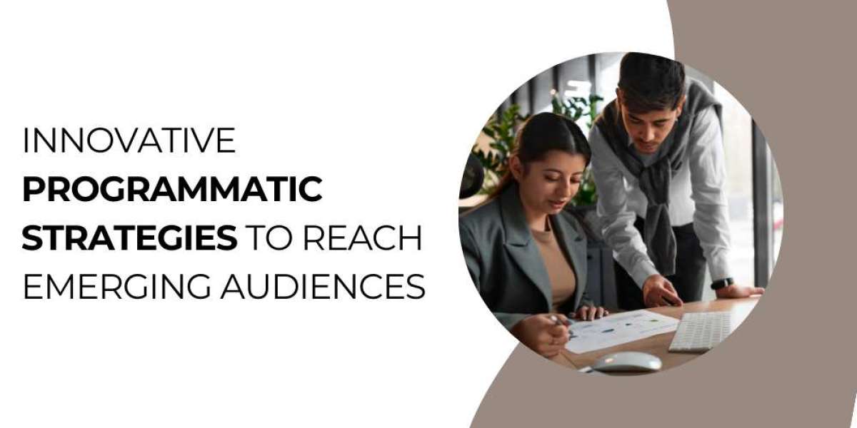 Innovative Programmatic Strategies to Reach Emerging Audiences