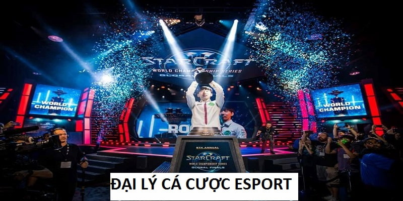 Trở Thành Đại Lý Cá Cược Esport Cho 009 Làm Giàu Không Khó