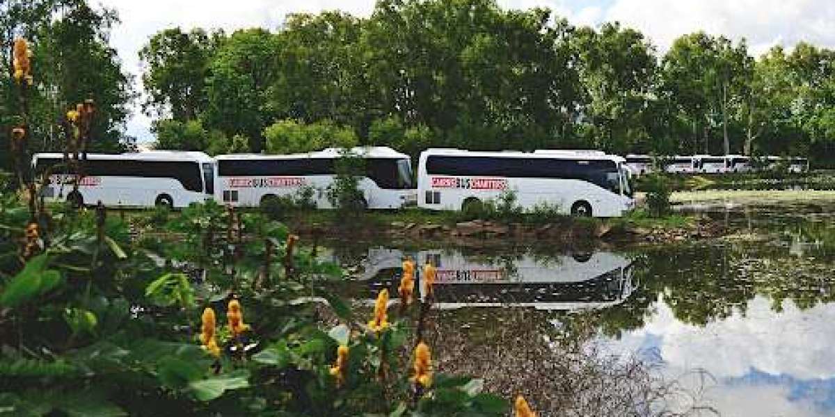 Port Douglas to Cairns Airport Shuttle: A Convenient and Scenic Way to Travel