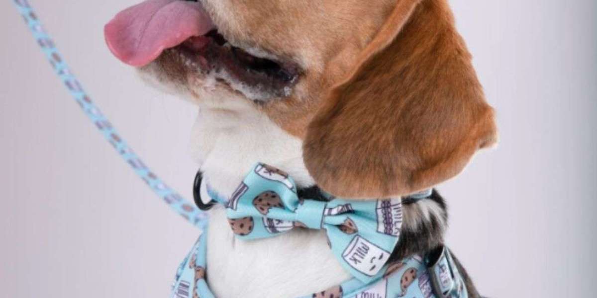 Get 2 Dog Harnesses for the Price of 1 – Limited Offer!