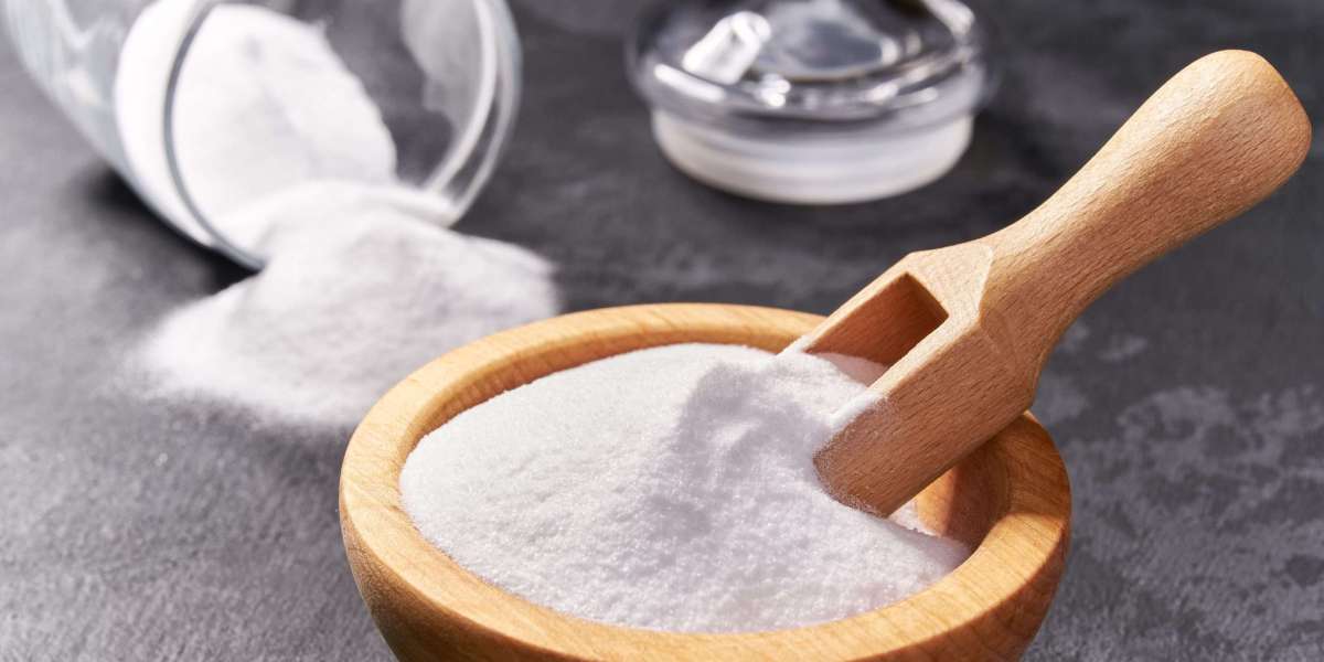 Sodium Bicarbonate Market Share, Global Industry Analysis Report 2023-2032