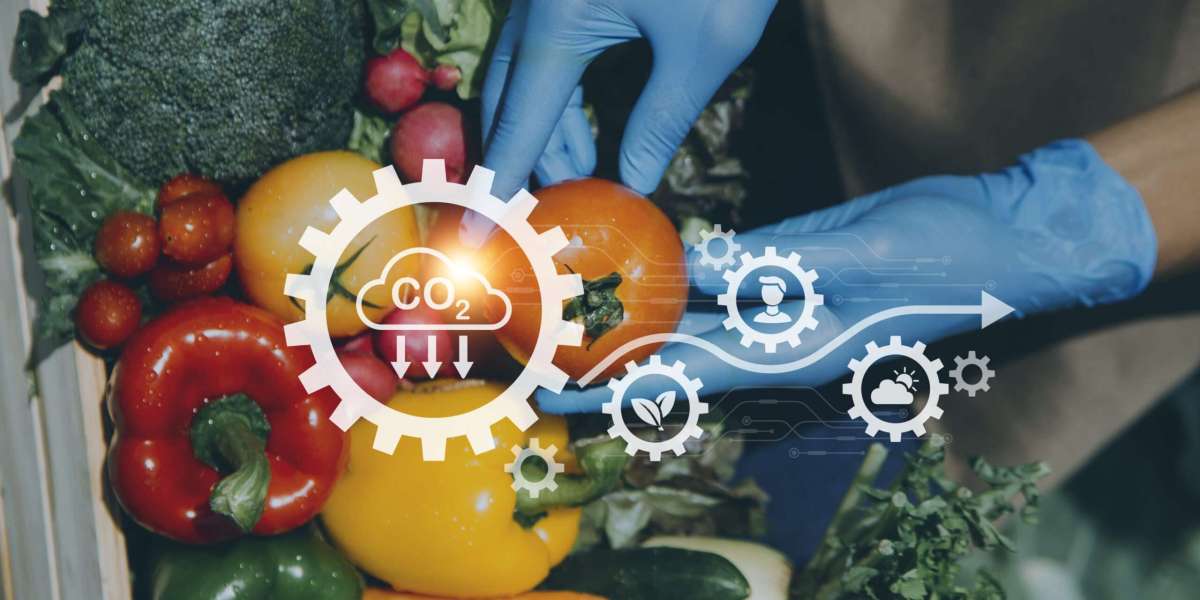 Food Certification Market Size, Industry Research Report 2023-2032