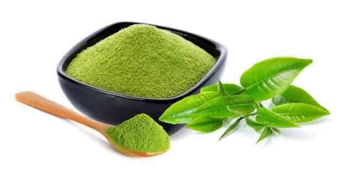 Detailed Report on Green Tea Powder Manufacturing Plant Setup Cost, Layout and Raw Material Requirements