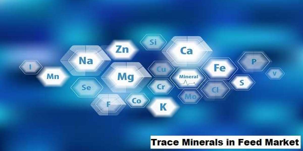 Trace Minerals in Feed Market: Growth Predicted Amid Rising Feed Production