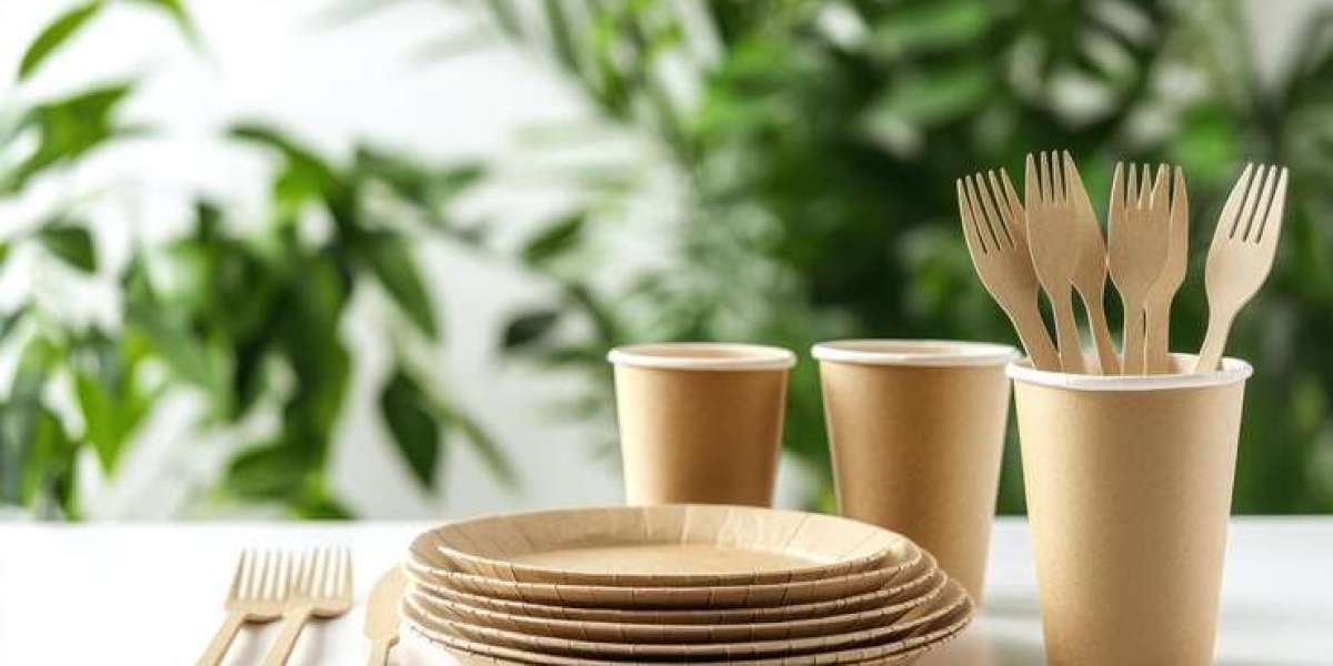 Setting Up a Successful Rice Husk Based Biodegradable Disposable Cups and Plates Manufacturing Plant Setup Report 2024: 