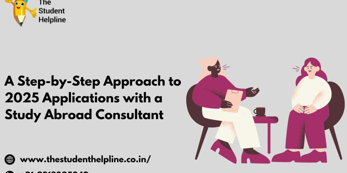 A Step-by-Step Approach to 2025 Applications with a Study Abroad Consultant