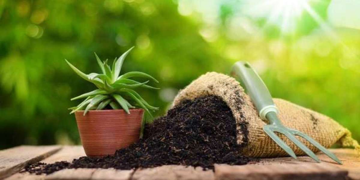 Vietnam Fertilizers Market Growth Outlook for 2024-2028: Key Drivers