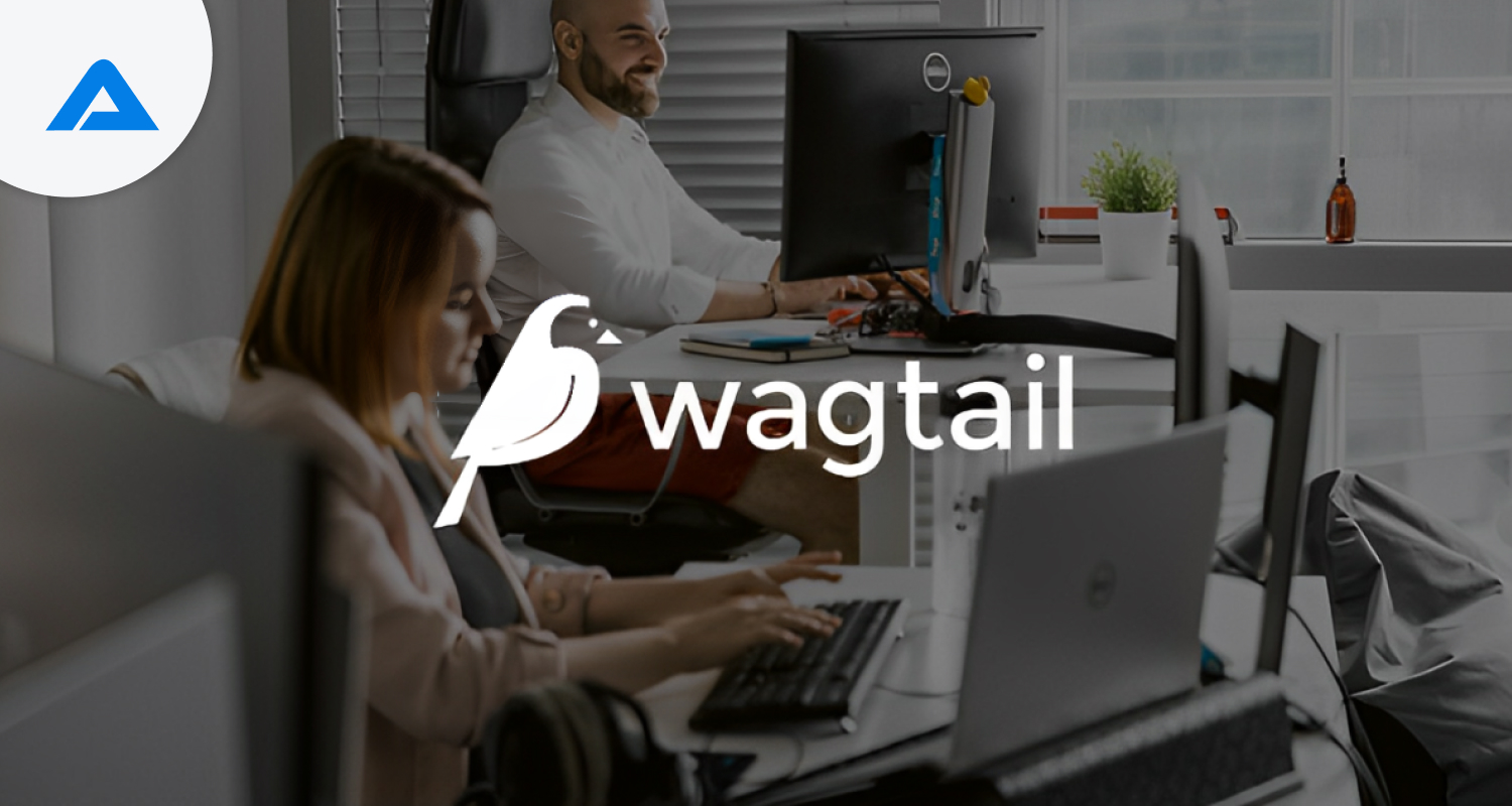 List of Top Wagtail Development Companies in USA in 2025