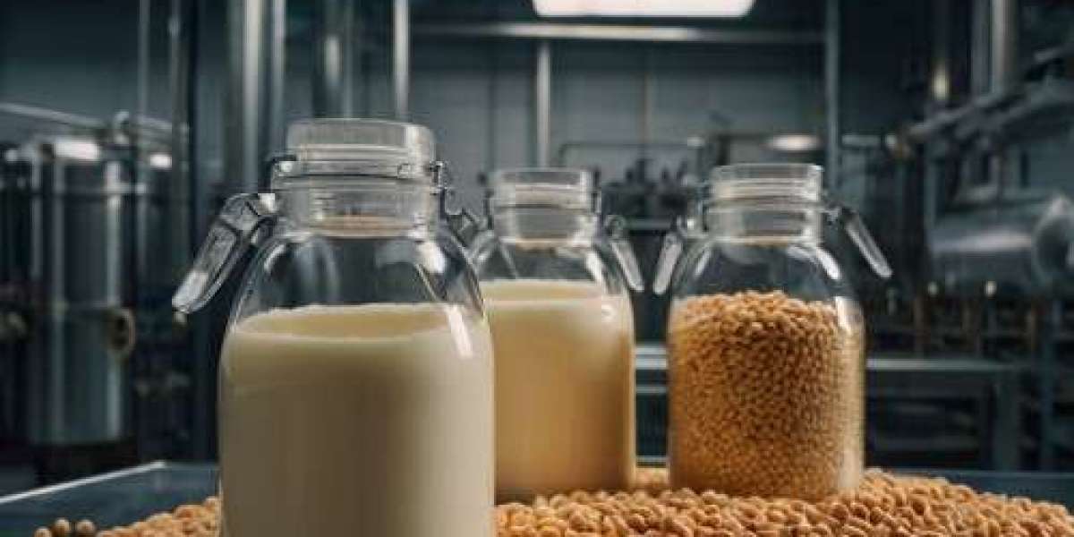 Food Emulsifiers Market 2031 – Trends and Key Drivers