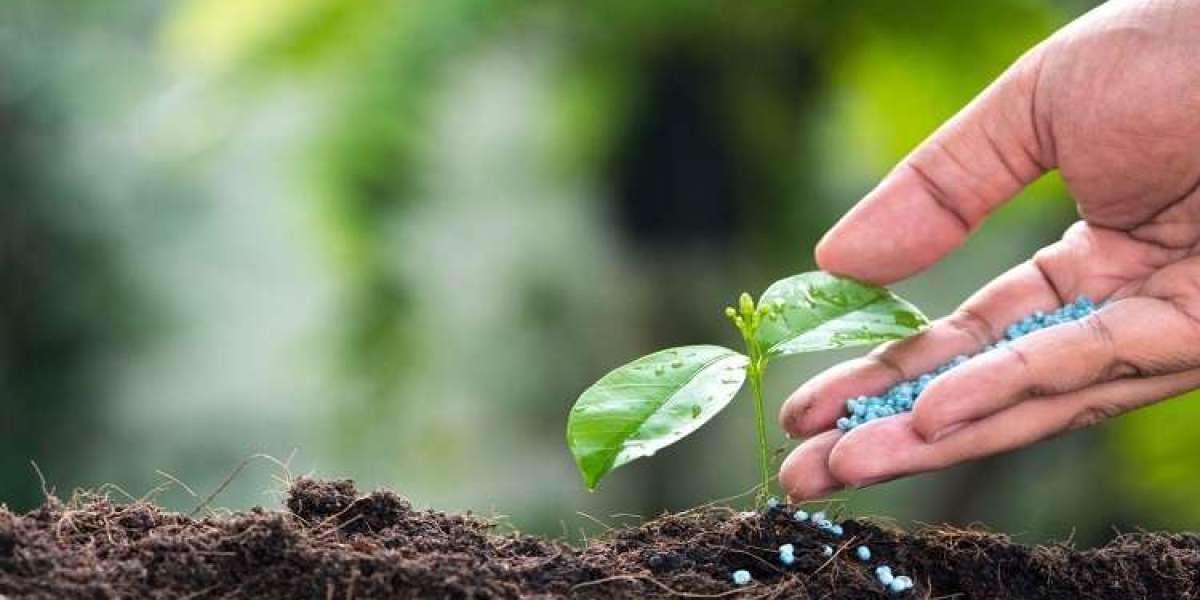 Europe Mycorrhizae-Based Biofertilizers Market Analysis: 2024-2028 Forecast