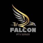 falcon live profile picture