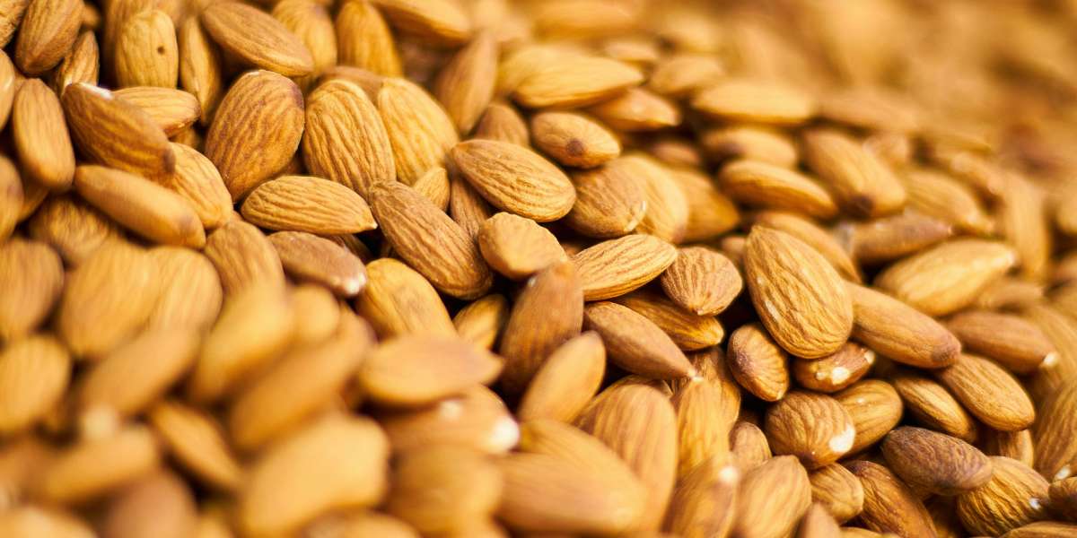 Almond Milk Market Insights: Rising Demand and Health Benefits Driving Expansion