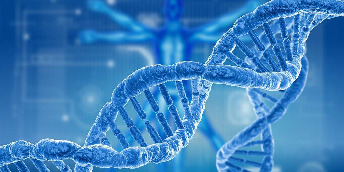 Animal Genetics Market: Pioneering the Genetic Revolution in Animal Agriculture