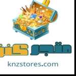 knzstores1 Profile Picture