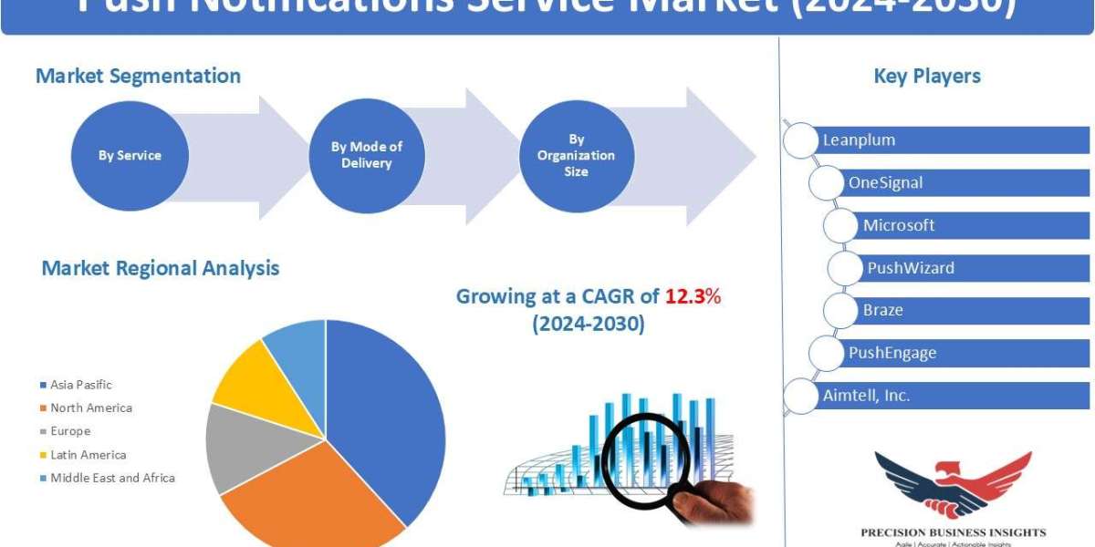 Push Notifications Service Market Size, Share, and Industry Report 2030