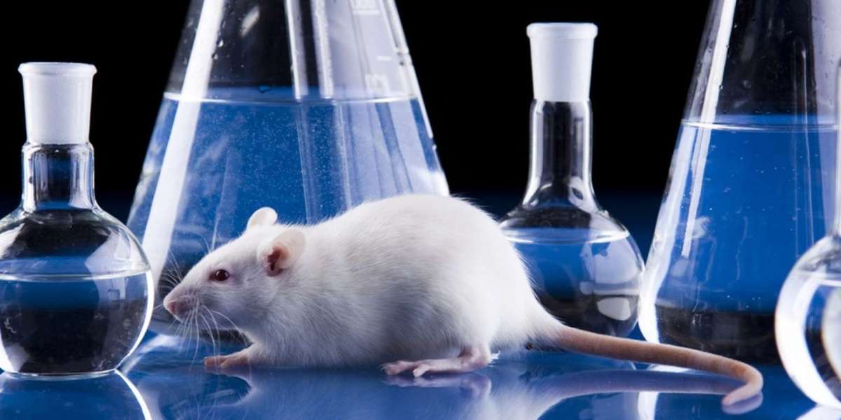 Animal Parasiticides Market Importance of Addressing Ethical Concerns and Enhancing Transparency in the Animal Health In