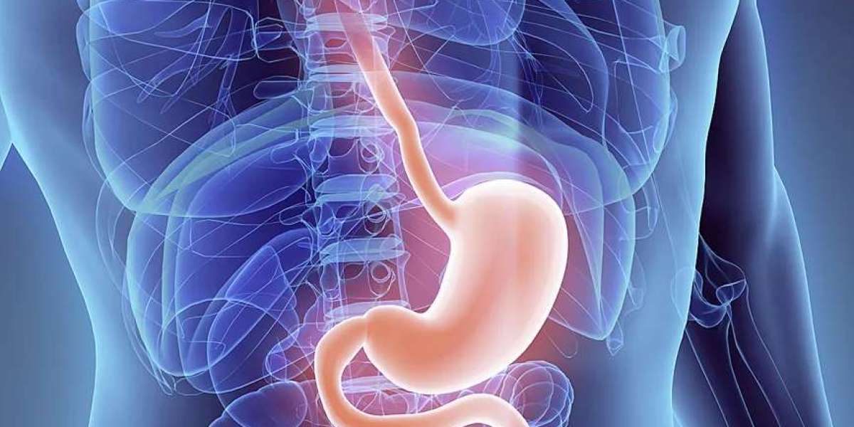 Diabetic Gastroparesis Treatment Market: Strategic Moves Driving Innovation and Expansion