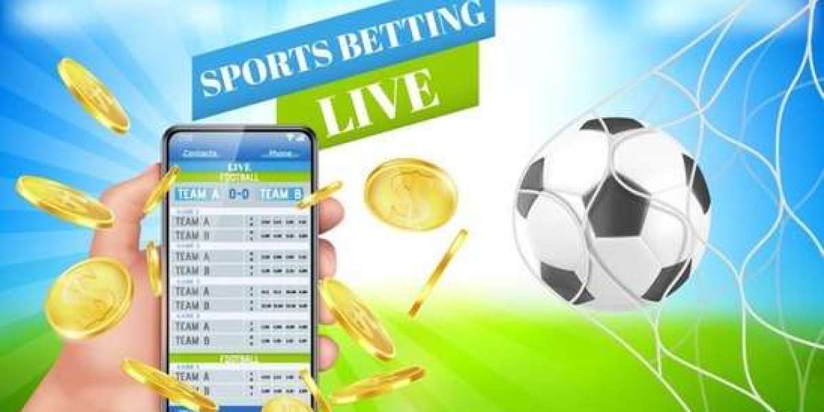 How To Play Cricket Betting Online?