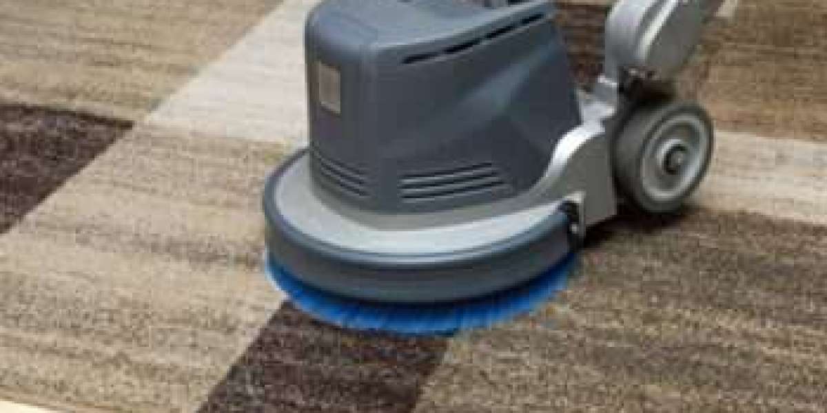 How Professional Carpet Cleaning Boosts Home Coziness