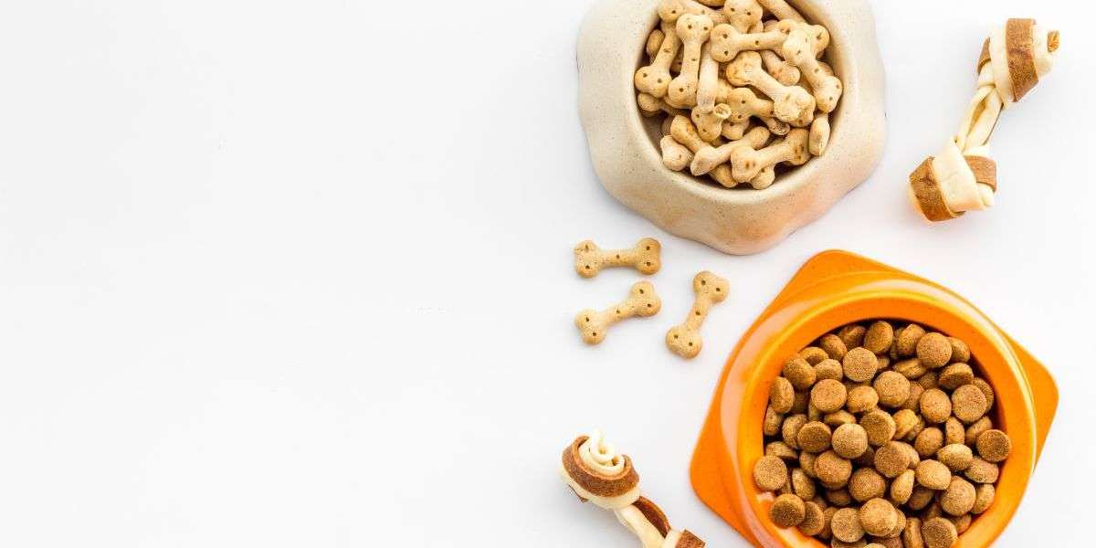 The Australian Pet Food Market: Trends, Growth, and Future Outlook