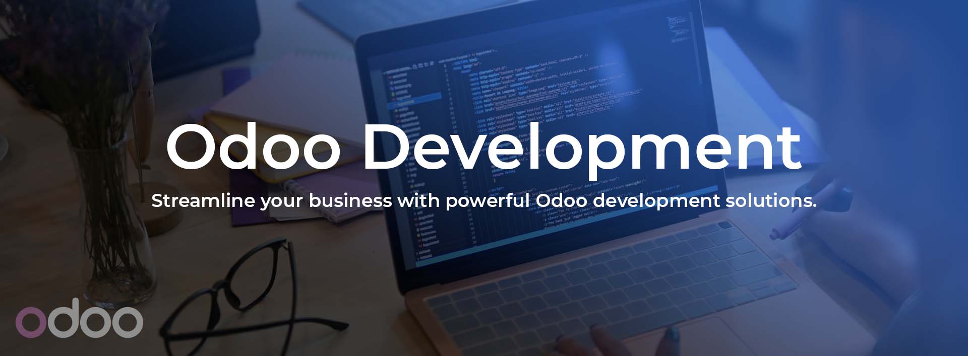 Odoo Development Services | Top ERP Company