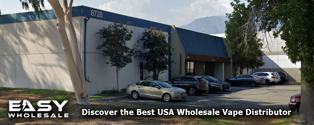 Discover the Best USA Wholesale Vape Distributor – EasyWholesale.com