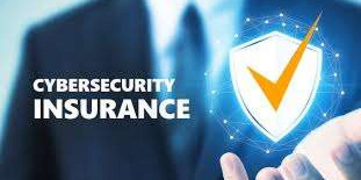 Cyber Insurance Market Growth Forecast: Key Trends, Challenges, and Opportunities for 2025 and Beyond