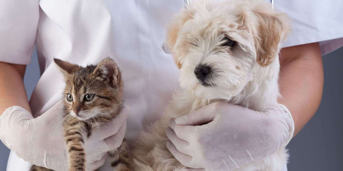 Companion Animals Drugs Market: Key Strategies Shaping the Future of Pet Healthcare