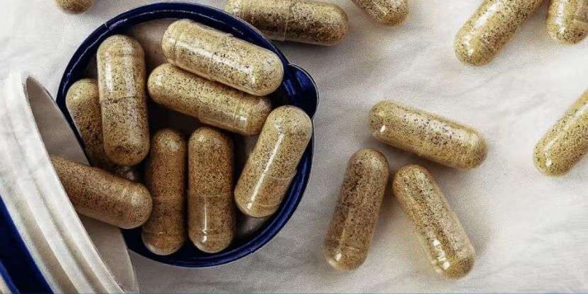 Digestive Enzyme Supplement Manufacturing Plant Project Report 2025: Key Insights and Plant Setup