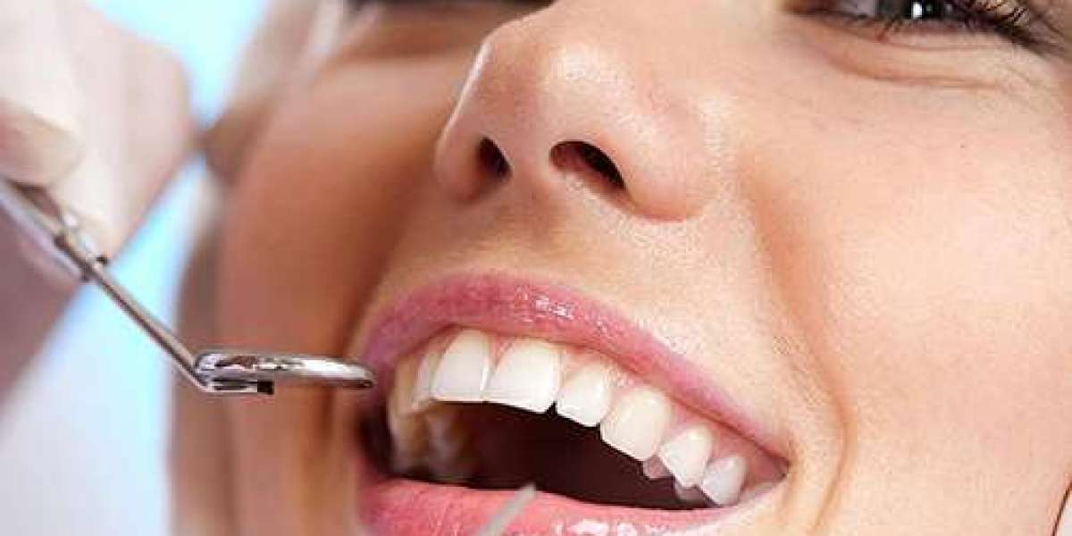 Holistic Dentistry in Tampa: A Comprehensive Guide to Natural and Patient-Centered Care