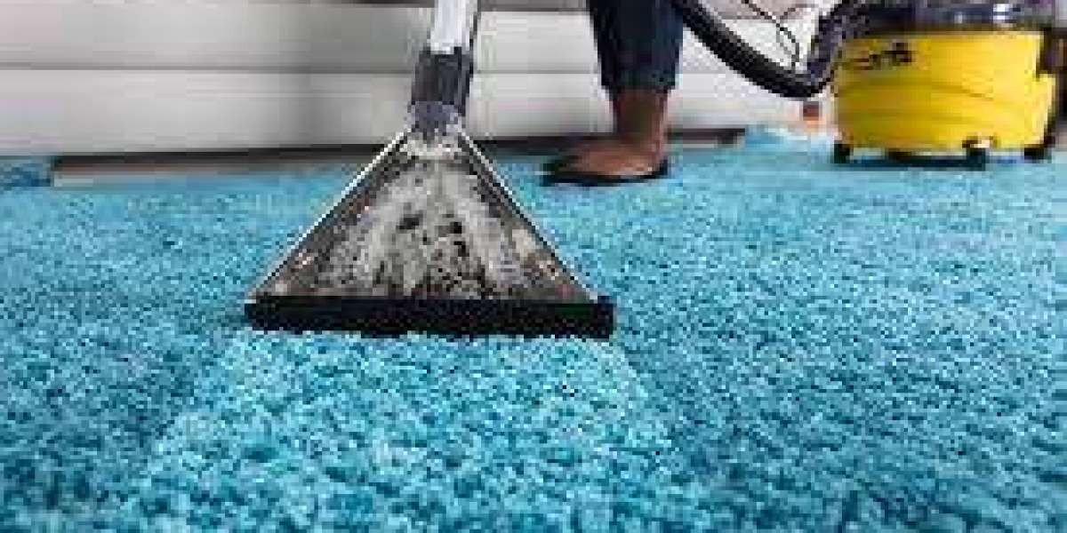 The Connection Between Carpet Cleaning and Home Wellness