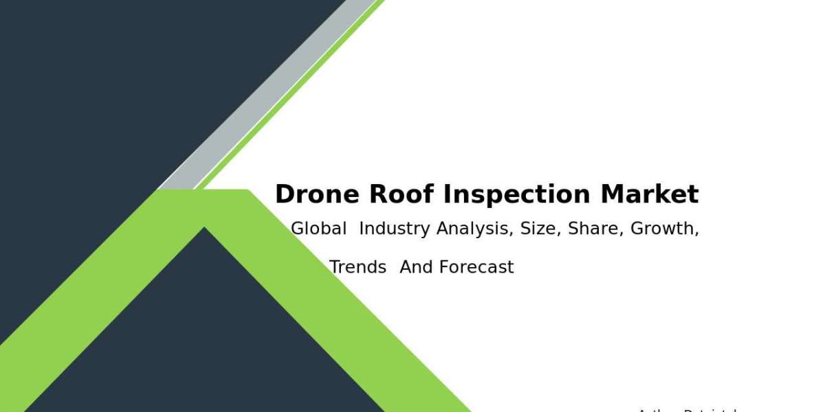 Drone Roof Inspection Market Performance: Key Growth Strategies 2024-2032