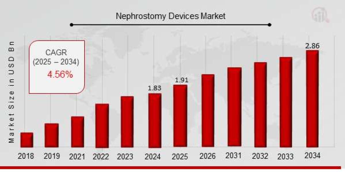 Nephrostomy Devices Market: A Lifeline for Kidney Health