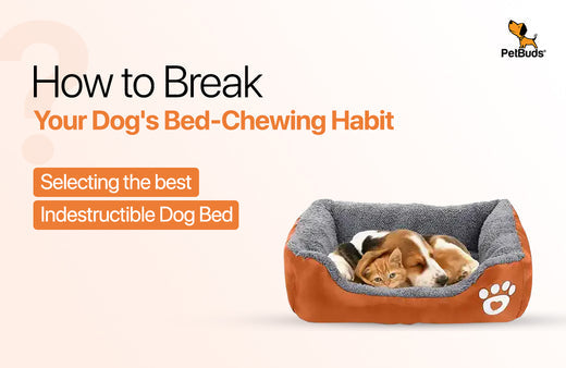 Indestructible Dog Beds: Break Your Dog's Bed-Chewing Habit  – PetBuds