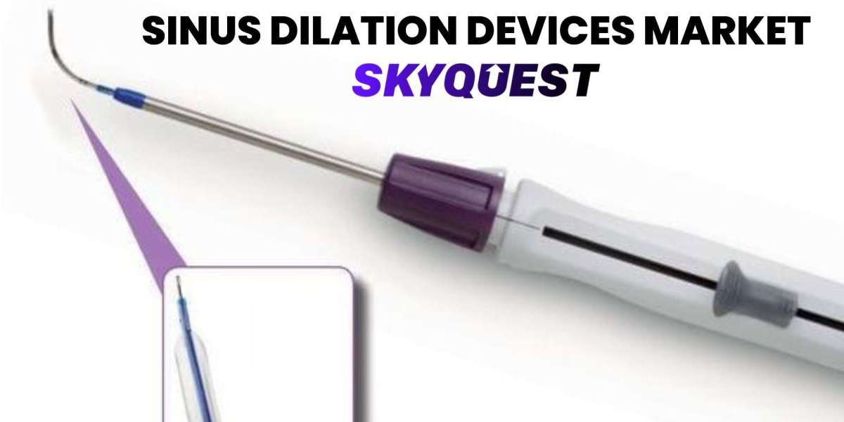 Sinus Dilation Devices Market Overview: Revenue, Segmentation, and Growth 2025-2032