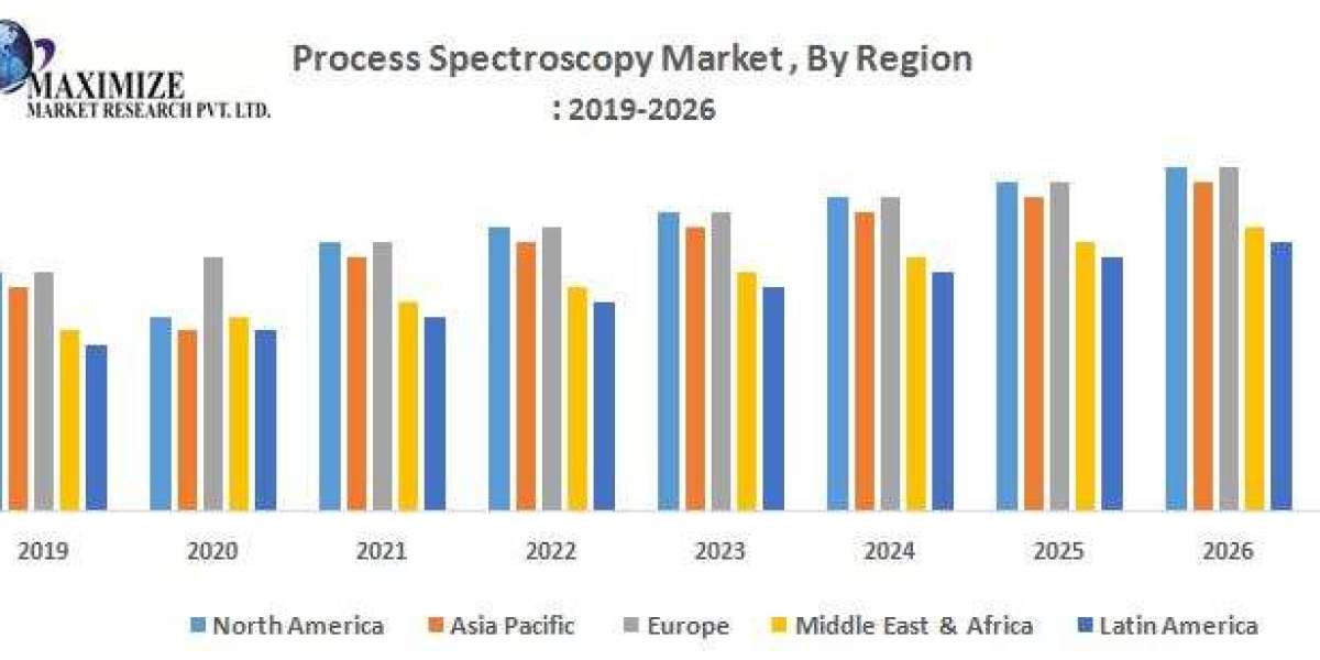 Global Process Spectroscopy Market Share and Growth Opportunities in 2025